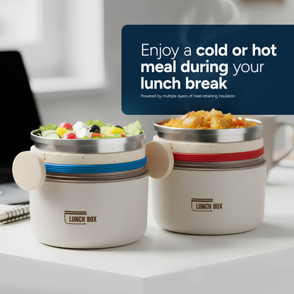 Insulated Stainless Steel Lunch Box Set